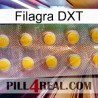 Filagra DXT new11